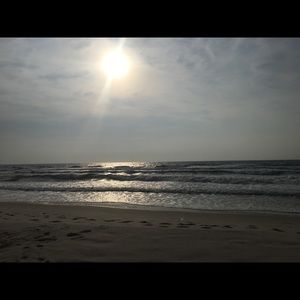 Meet your Posher, Monique